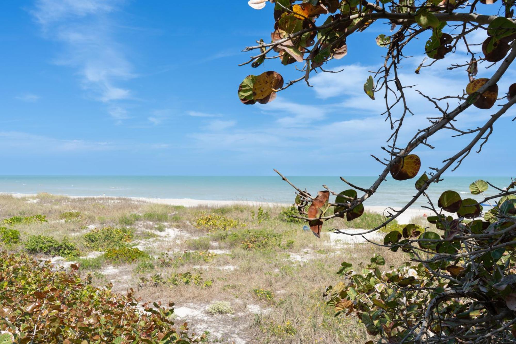 Sole Suite #1-2 Min To Beach-Patio & Courtyard Cocoa Beach Eksteriør bilde